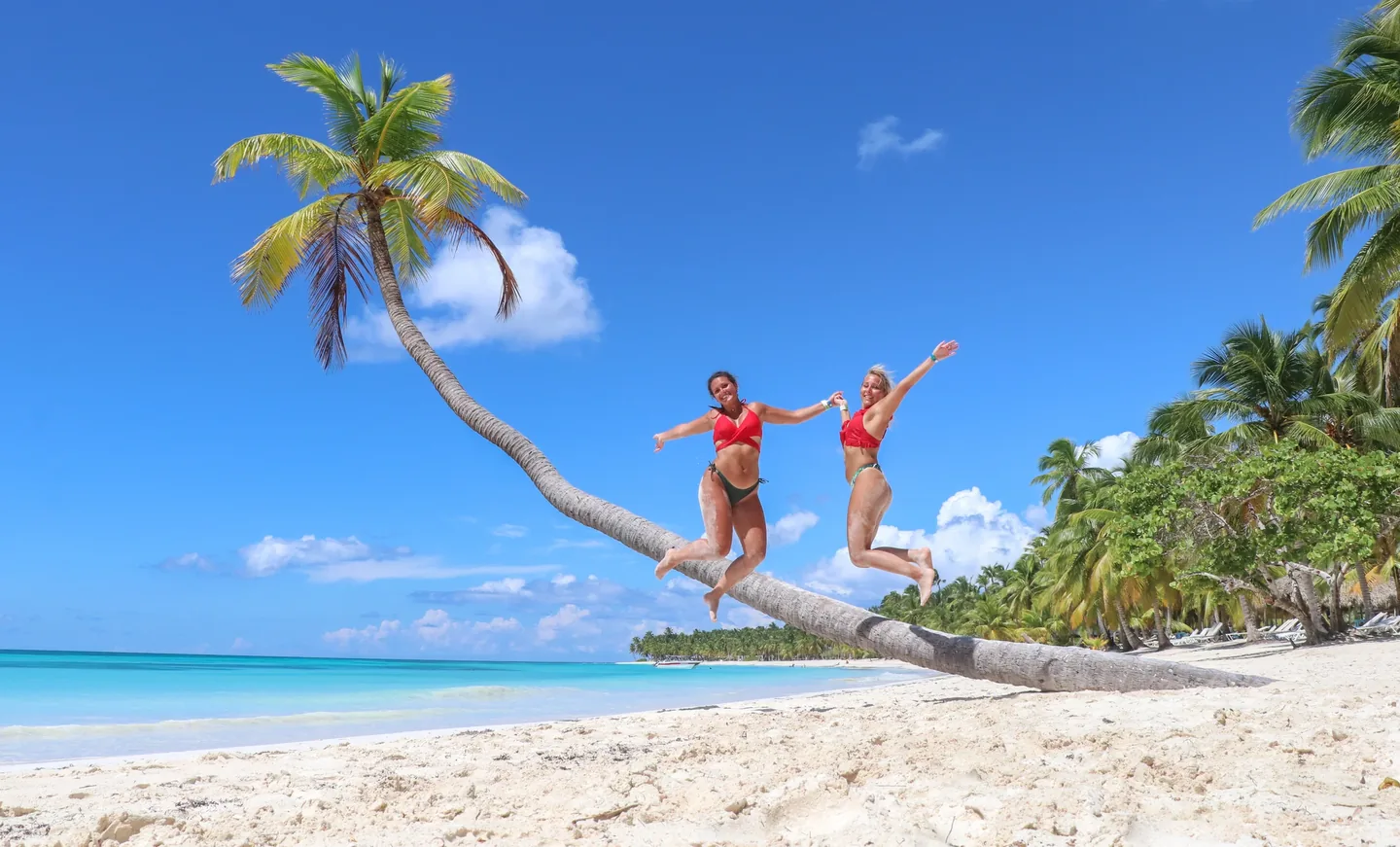Excursión a Isla Saona