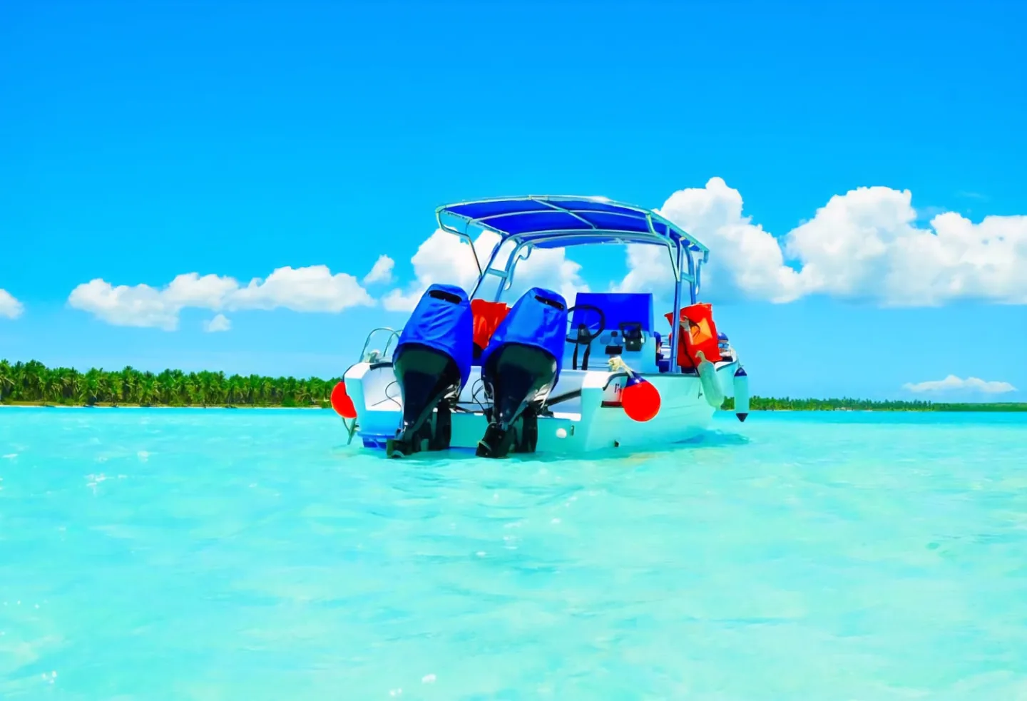 Speed Boat Moises in Saona waters